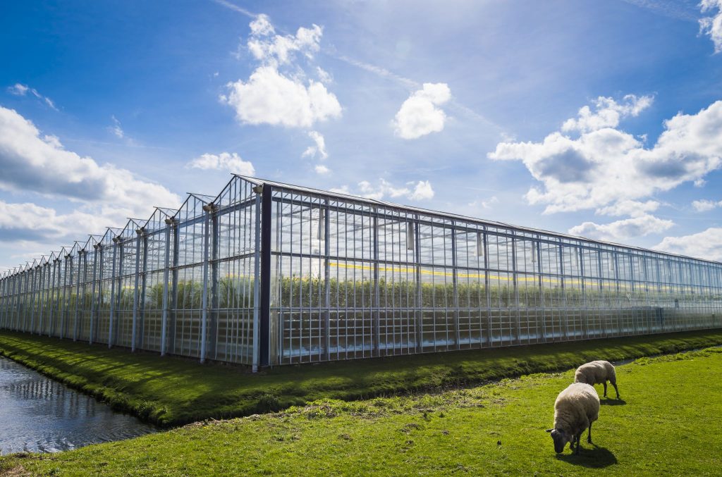 Bedrijf op korte afstand van een woning